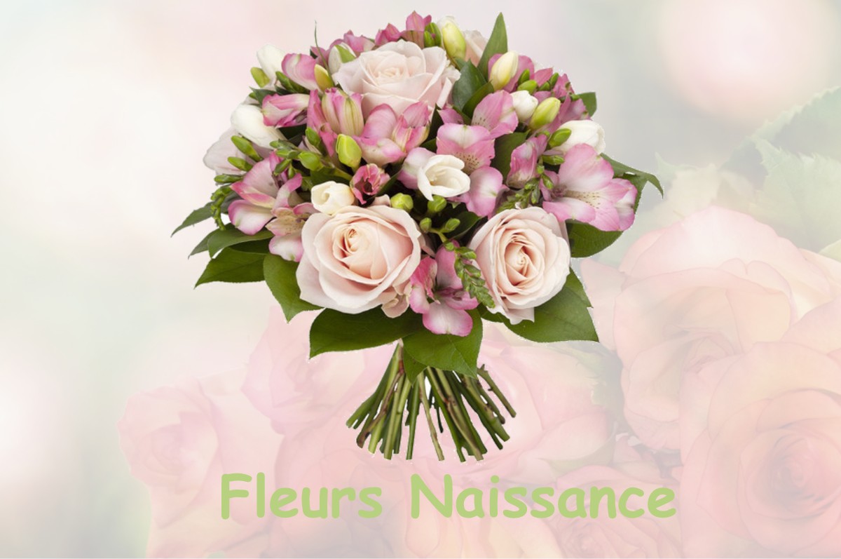 fleurs naissance CHAMPDIVERS