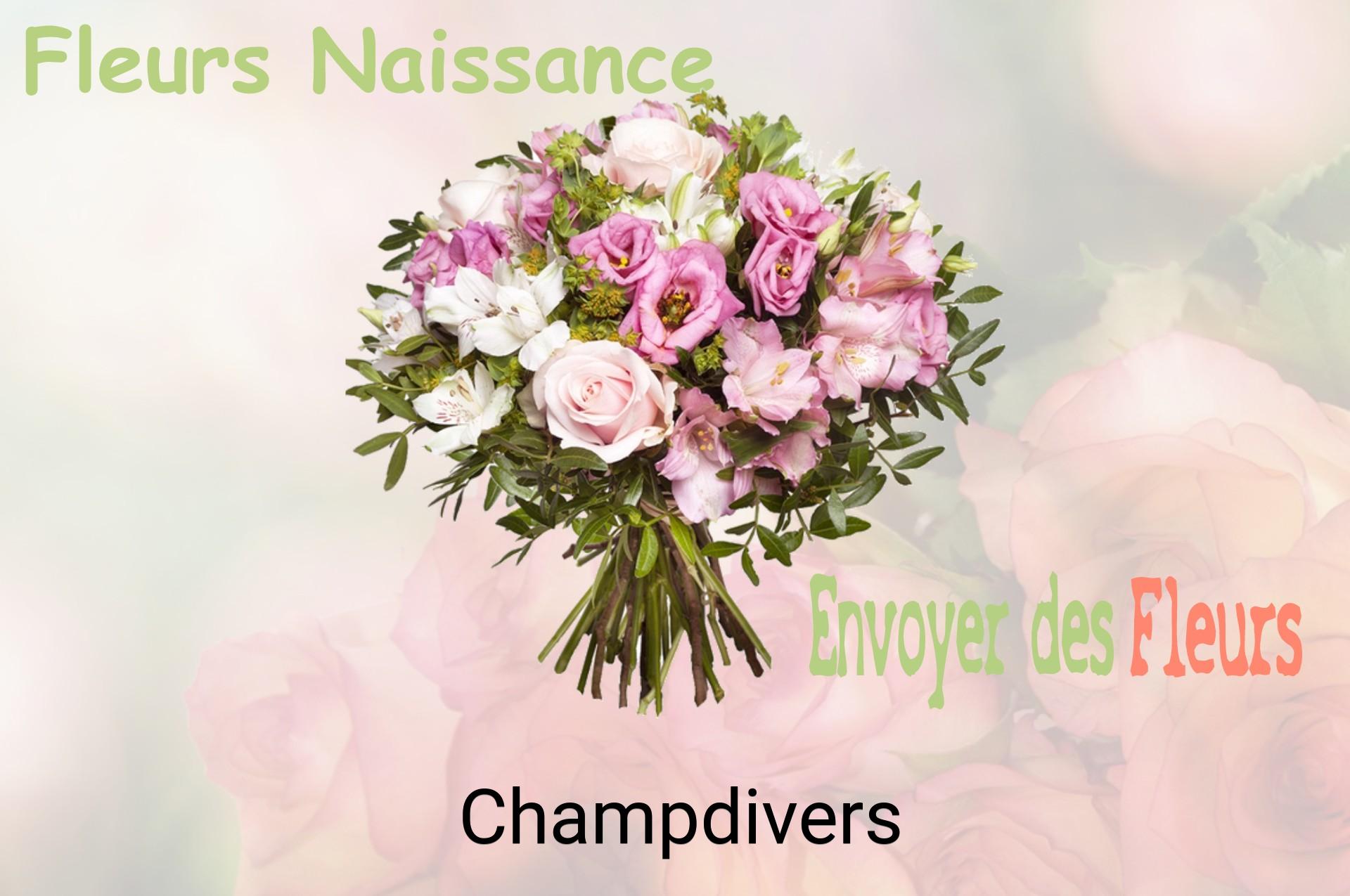 Bouquet de fleurs de naissance livré à Champdivers
