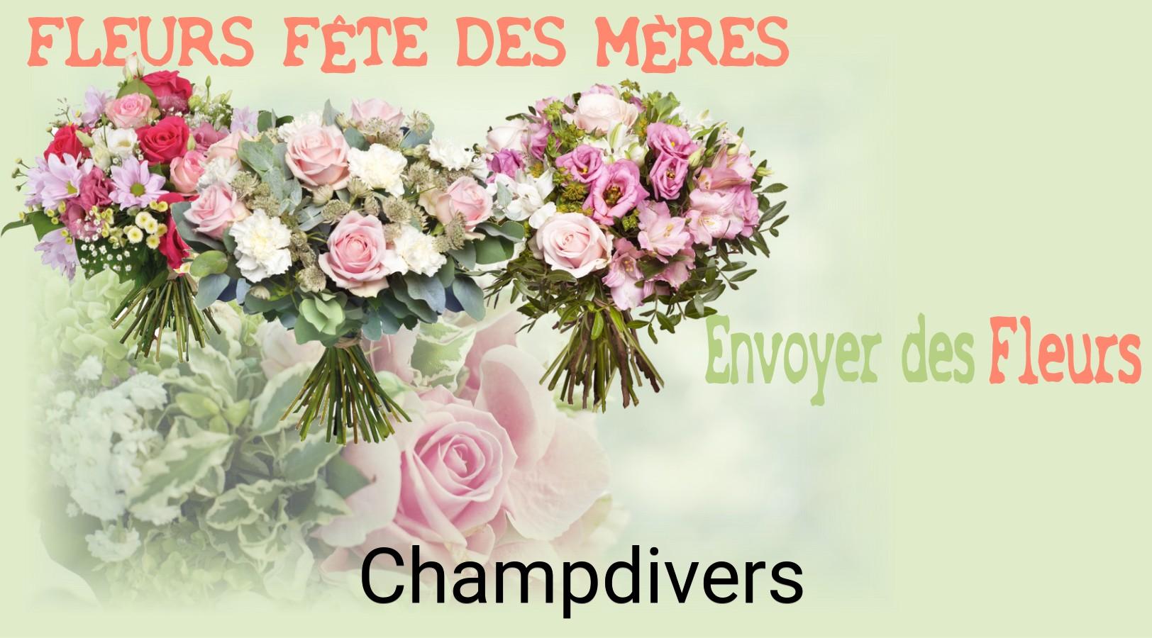 Bouquet de Fête des Mères livré à Champdivers