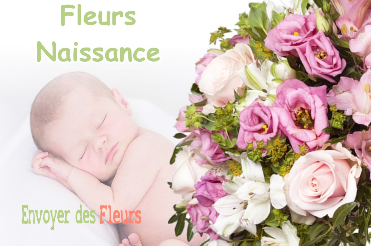 lIVRAISON FLEURS NAISSANCE à CHAMPDIVERS